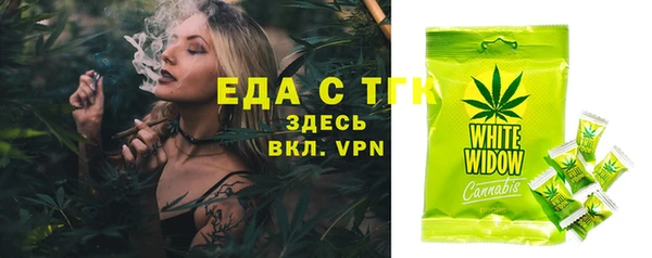 шишки Коряжма