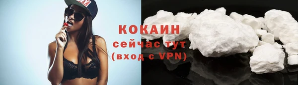 шишки Коряжма