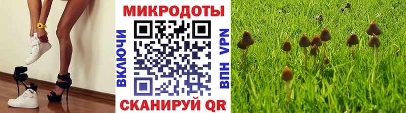 Купить где  Алзамай  Псилоцибиновые грибы Magic Shrooms 